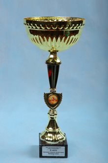 3 МЕСТО Спартакиада городских лагерей отдыха Приморского района 2013